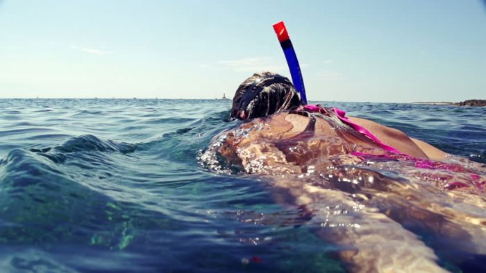 snorkel | snorkeling