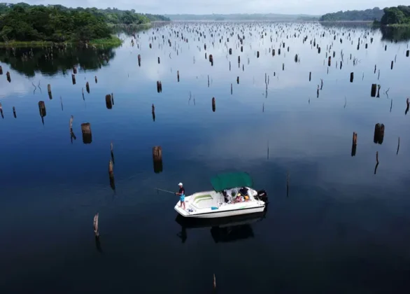 Pesca en Lago Gatún - Panama Gem Charters - Gatun Lake Fishing Tour