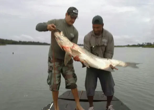 Pesca en Lago Gatún - Panama Gem Charters - Gatun Lake Fishing Tour